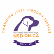 NSD Logo Small